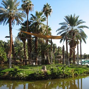 Childrens Trail - Siamang Exhibit