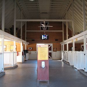 Harmony Farm - Main Barn Interior
