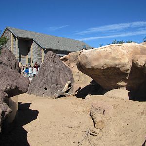 Denver Zoo 2010 - Mixed exhibit for Banded Mongoose and African Crested Por