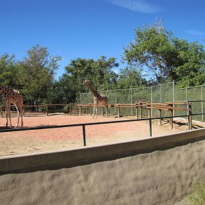 Denver Zoo 2010 - Left of the Giraffe exhibit