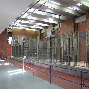 Denver Zoo 2010 - Inside the Giraffe building