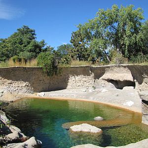 Denver Zoo 2010 - Polar Bear exhibit towards the left