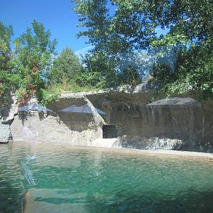 Denver Zoo 2010 - Second Polar Bear exhibit