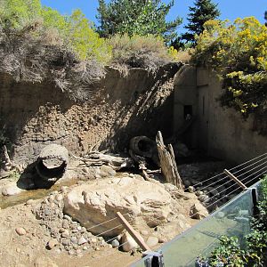 Denver Zoo 2010 - Arctic Fox exhibit