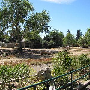 Denver Zoo 2010 - Front of the Bactrian Camel exhibit