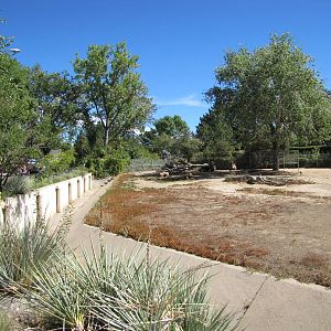 Denver Zoo 2010 - Left side of the Bactrian Camel exhibit