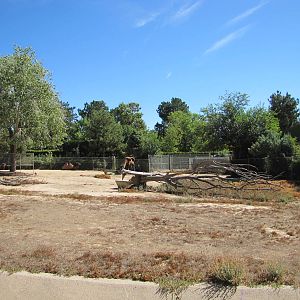 Denver Zoo 2010 - Center of the Bactrian Camel exhibit