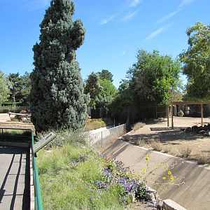 Denver Zoo 2010 - Exhibits meet