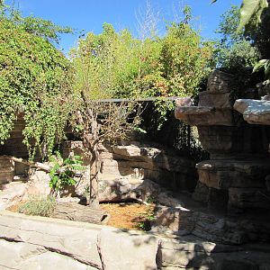 Denver Zoo 2010 - Red Panda exhibit