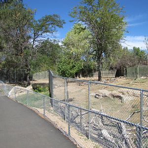 Denver Zoo 2010 - Alongside ungulate enclosures