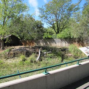 Denver Zoo 2010 - Cheetah exhibit