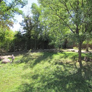 Denver Zoo 2010 - Kangaroo exhibit