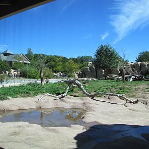 Denver Zoo 2010 - General view of Predator Ridge