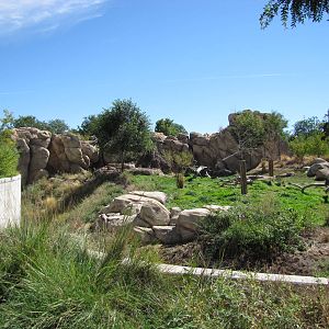 Denver Zoo 2010 - General view of Predator Ridge