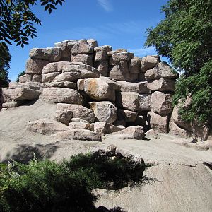 Denver Zoo 2010 - Rocky Mountain Bighorn Sheep exhibit