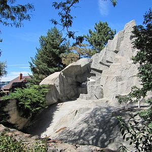 Denver Zoo 2010 - Left side of the Dalls Sheep exhibit