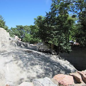 Denver Zoo 2010 - Center of the Dalls Sheep exhibit