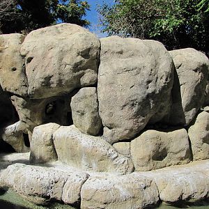 Denver Zoo 2010 - Center of the Humboldt Penguin exhibit