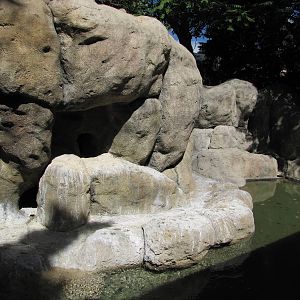 Denver Zoo 2010 - Right side of the Humboldt Penguin exhibit