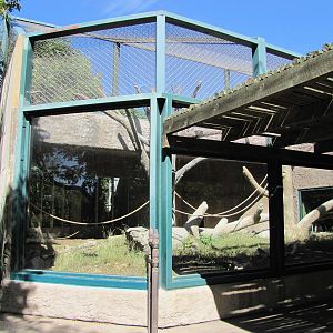 Denver Zoo 2010 - Exhibit in Primate Panorama