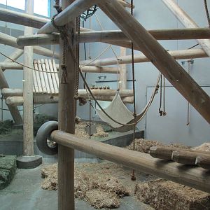 Denver Zoo 2010 - Indoor exhibit in Primate Panorama