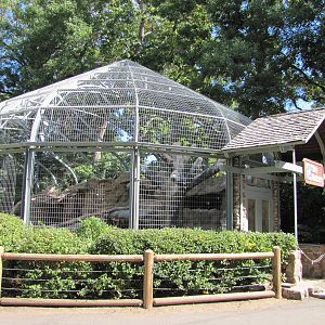 Denver Zoo 2010 - Andean Condor aviary
