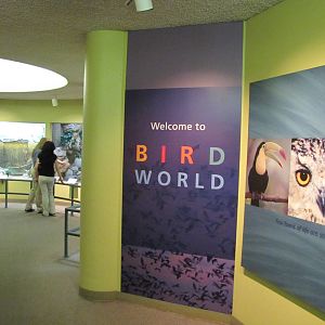 Denver Zoo 2010 - General view inside Bird World