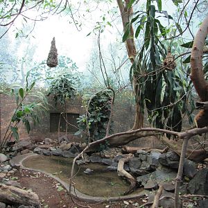 Denver Zoo 2010 - Indoor exhibit in Bird World
