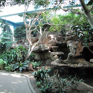 Denver Zoo 2010 - Indoor exhibit in Bird World