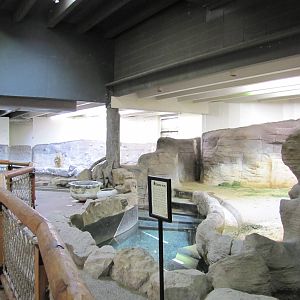 Denver Zoo 2010 - Inside Pachyderm Habitat