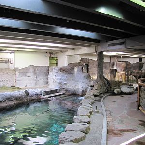Denver Zoo 2010 - Inside Pachyderm Habitat