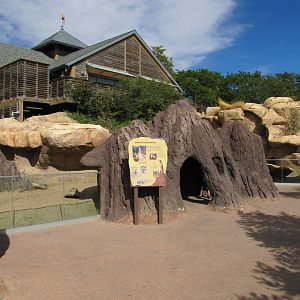Denver Zoo 2010 - Front of mixed exhibit for Banded Mongoose and African Cr