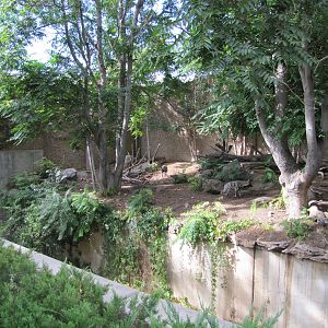 Denver Zoo 2010 - Left side of the Striped Hyena exhibit