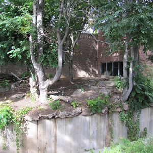 Denver Zoo 2010 - Right side of the Striped Hyena exhibit