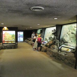 Denver Zoo 2010 - Inside the Feline House
