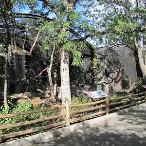 Denver Zoo 2010 - Outdoor cages at the Feline House