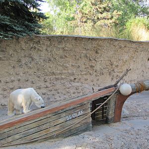 Denver Zoo 2010 - Polar Bear in Northern Shores