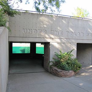 Denver Zoo 2010 - Underwater view of Polar Bear exhibit
