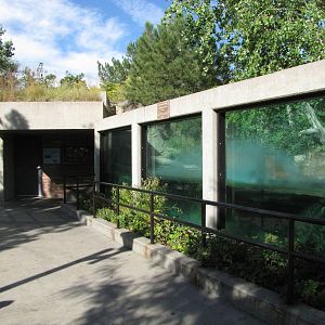Denver Zoo 2010 - Front of North American River Otter exhibit