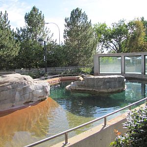 Denver Zoo 2010 - Part of the mixed Pinniped Pool