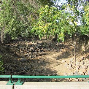 Denver Zoo 2010 - Warthog exhibit