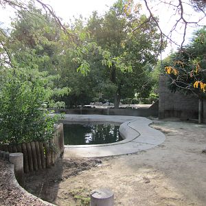 Denver Zoo 2010 - Nile Hippopotamus outdoor exhibit in Pachyderm Habitat