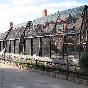 Denver Zoo 2010 - Monkey row since 1908