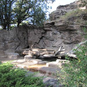 Denver Zoo 2010 - Historic Bear Mountain exhibit