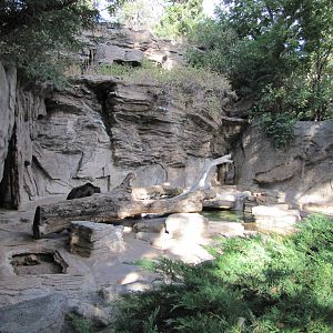 Denver Zoo 2010 - Historic Bear Mountain exhibit