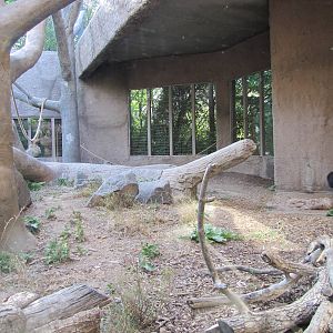 Denver Zoo 2010 - Indoor exhibit in Primate Panorama