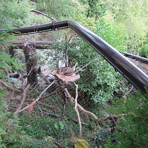 National Zoo 2010 - Top of a Fishing Cat enclosure in Asia Trail