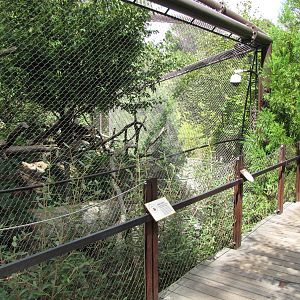 National Zoo 2010 - Front of Clouded Leopard enclosure in Asia Trail