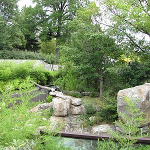 National Zoo 2010 - Giant Panda resting in Fujifilm Giant Panda Habitat