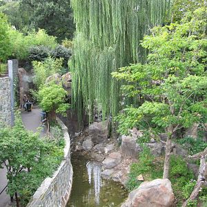 National Zoo 2010 - Part of Fujifilm Giant Panda Habitat in Asia Trail